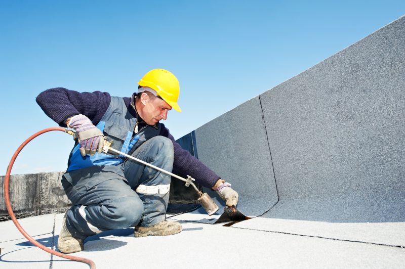 Professional Roofing Service